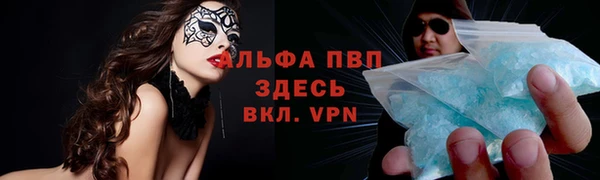 гидропоника Ладушкин